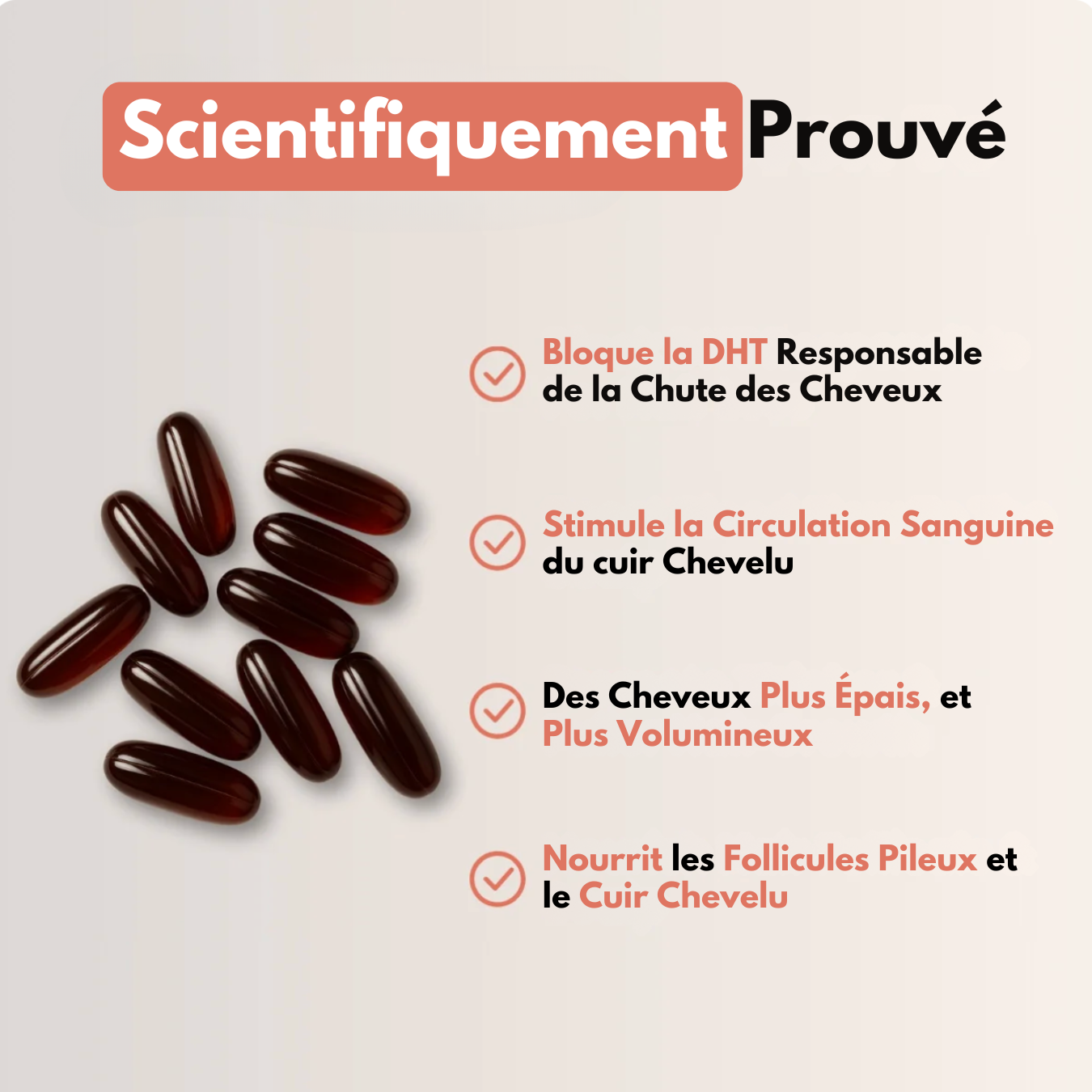Gélule d’Huile de Pépin de Courge
