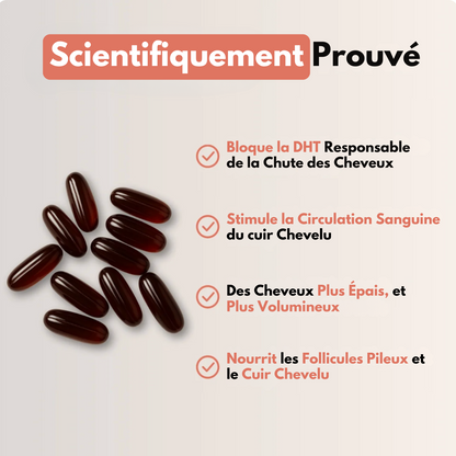 Gélule d’Huile de Pépin de Courge